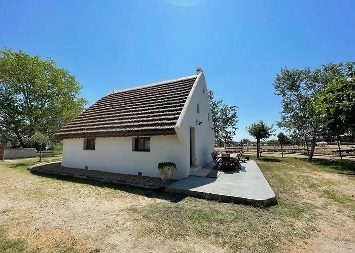 Maison De Gardians Traditionnelle - Espiguette Hébergement de vacances *