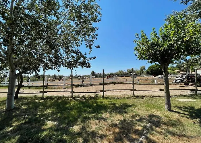 Maison De Gardians Traditionnelle - Espiguette Hébergement de vacances